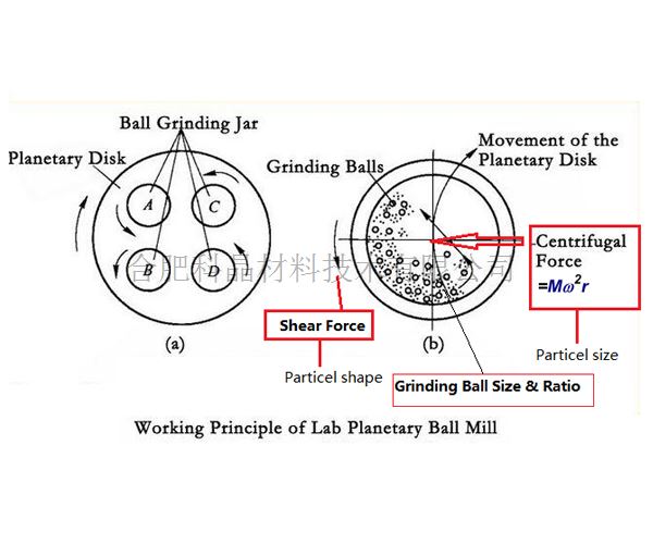 MSK-SFM-1-10L 2.2.jpg